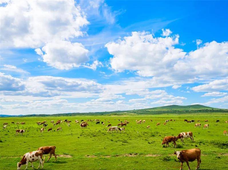 内蒙古草原，无尽风情的自然画卷